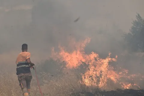 Φωτιά στη Βοιωτία