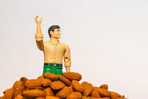 almond