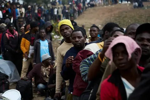 metanastes afriki