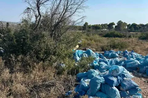 parnita