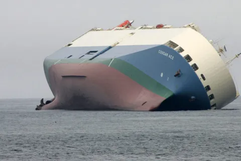 ship cougar