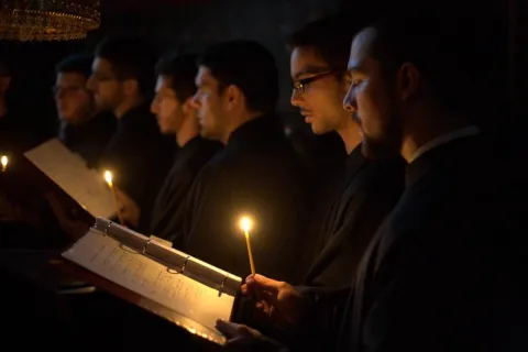 psaltes 