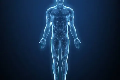 body human