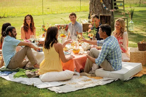 picnicnic