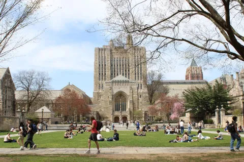 yale