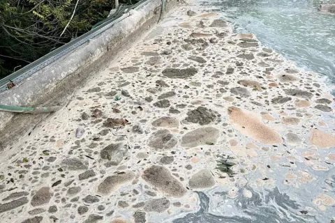 apovlita