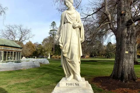 pomona