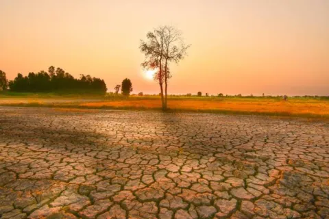 ελνιν