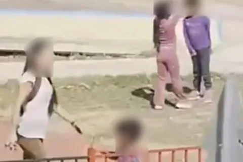 νητπ