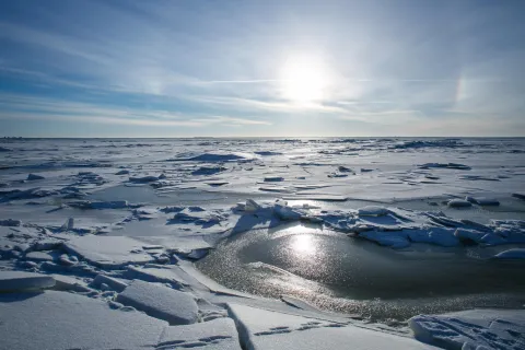 north pole