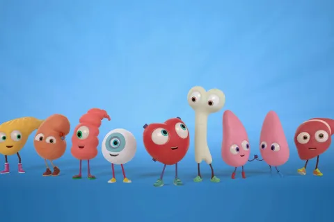 organoylides