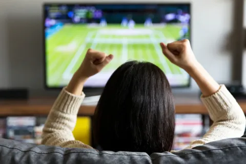 παρακολουθώντας_TV