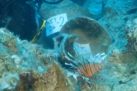 5545