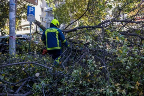 Πυροσβέστης σε επιχείρηση απομάκρυνσης πεσμένου δέντρου