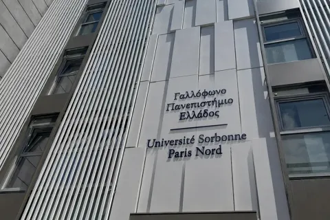 gallofono