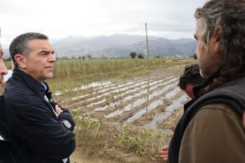 kriti tsipras