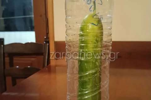 Αγγούρι μέσα σε μπουκάλι νερού