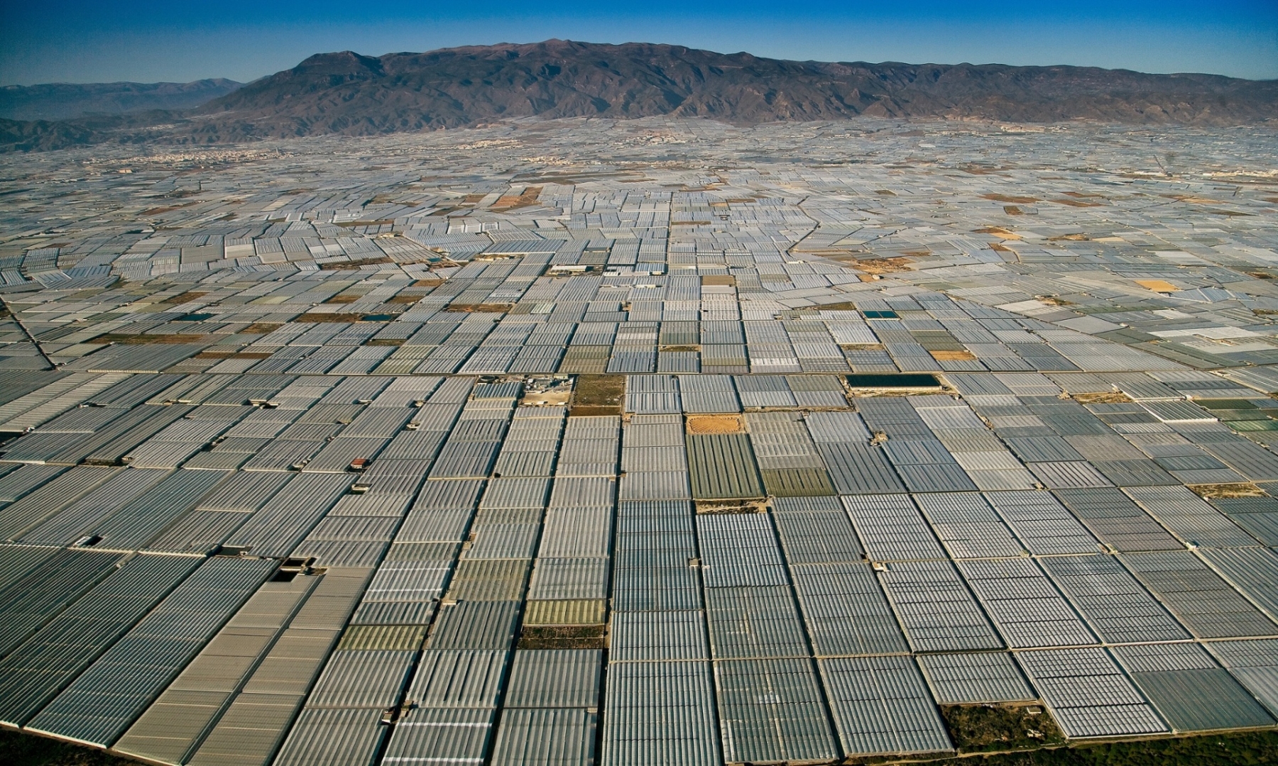 Greenhouses, Ισπανία